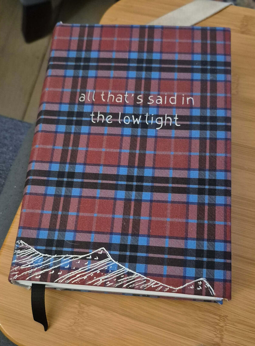 A handbound book with a plaid cover that says 'all that's said in the low light.'
